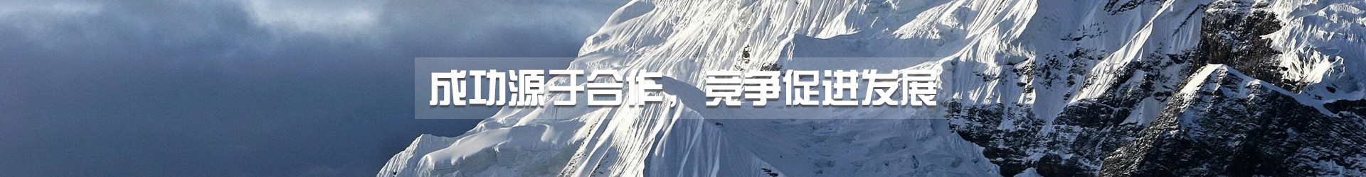 沈陽(yáng)德諾爾制冷設(shè)備有限公司